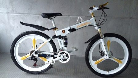 Lamborghini bicycles: pros, cons and lineup