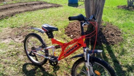 Larsen bicycles: models, tips for choosing