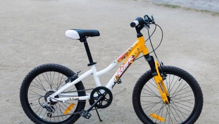 Stark bicycles: range and tips for choosing