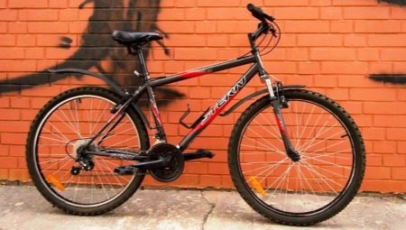 Stern bicycles: pros, cons and characteristics of the models