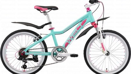 Welt bicycles: model characteristics and tips for choosing