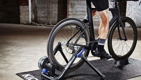 Cycling stand: purpose, varieties, brands, choice