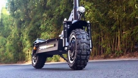 Trottinettes électriques tout-terrain : description, meilleurs modèles et subtilités de choix