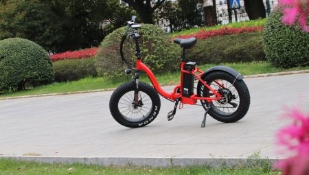Children's electric bicycles: varieties, brands, choices, rules of use
