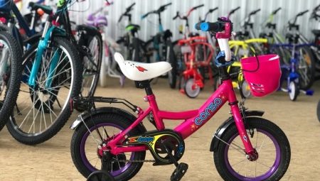 Children's bicycles 12 inches: features and popular models