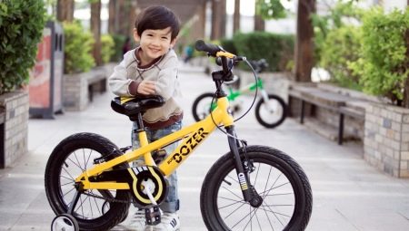 Children's bicycles 18 inches: an overview of models and recommendations for choosing