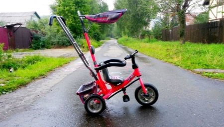 Lexus Trike kids bikes: pros, cons and best models