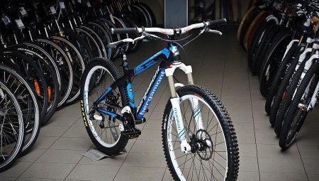 輕型自行車:有什麼以及如何選擇?