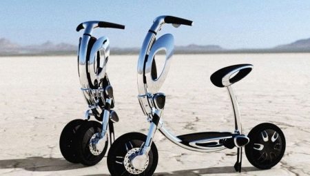 Powerful electric scooters: varieties and tips for choosing
