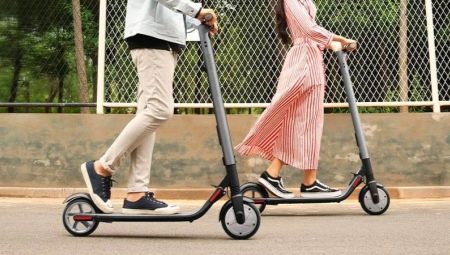 Electric scooter ratings for adults