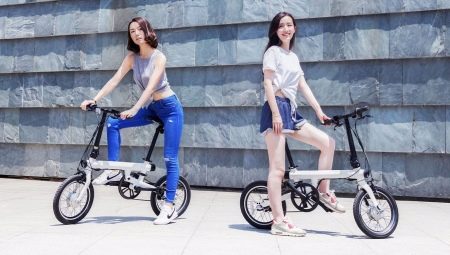 Folding e-bikes for adults