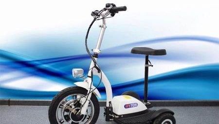 Three-wheeled electric scooters: model overview and tips for choosing