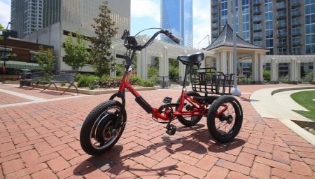 Adult electric tricycles: features, brands, choices, uses