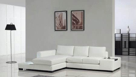 White sofas in the interior: what to combine with and how to choose?