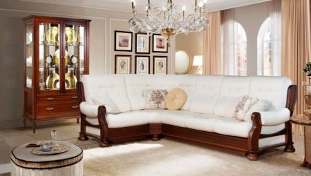 Avangard sofas: features and assortment