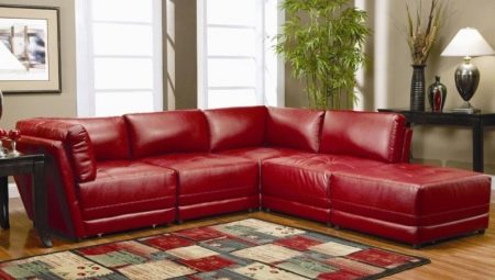 Convertible sofas: features and varieties