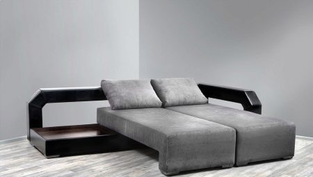 Double sofas: features, types and choice