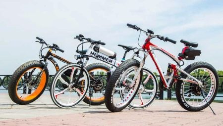 The best e-bikes: manufacturers rating and selection secrets