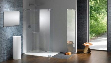 Cloisons en verre pour douche: variétés, tailles et sélection