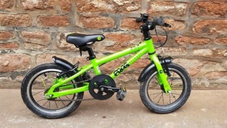 Modèles de vélos Frog populaires