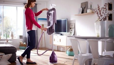 Vertical steam generators and steam cleaners: pros and cons, varieties and choices