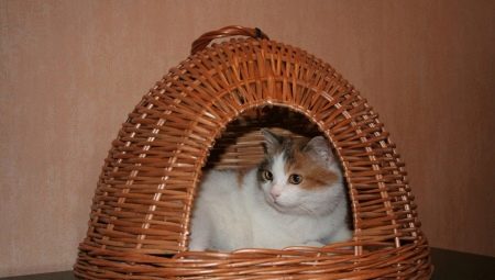 Weaving a cat house from newspaper tubes