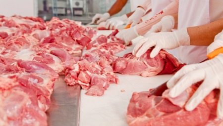 All about the profession of a meat production technologist