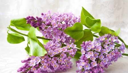 Making lilacs from foamiran