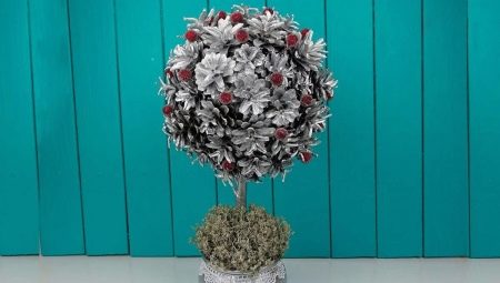 Topiary of cones: features and interesting ideas