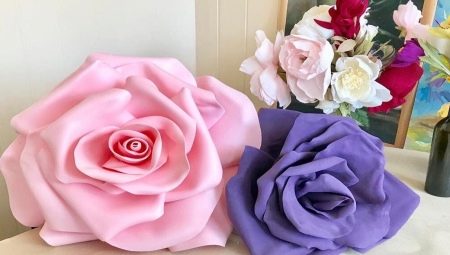 All about Isolone roses