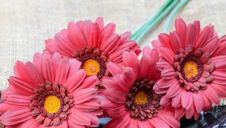 How to make a gerbera from foamiran?