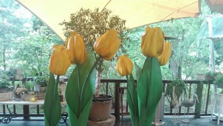 How to make tulips from Isolon?