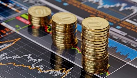 Who is a financier and what does he do?