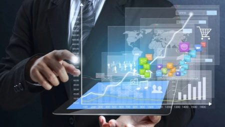 Who is a systems analyst and what does he do?