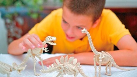 Features of Archaeologist Kits for Kids