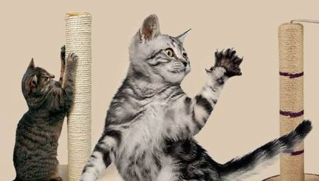Choosing jute scratching posts