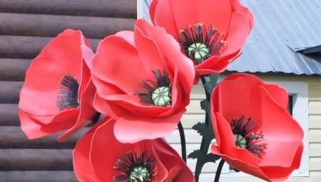 How to make poppy from isolone?