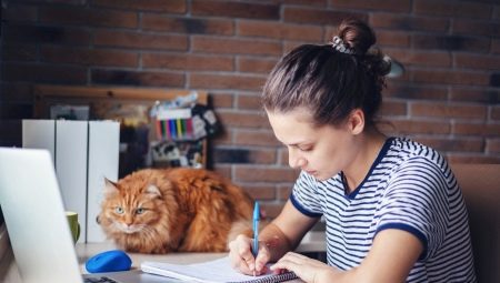 All about freelancers
