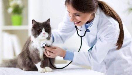 Animal-related professions