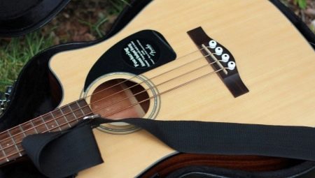 Fender Acoustic Guitars