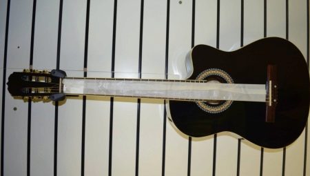 Assortiment de guitares Euphony