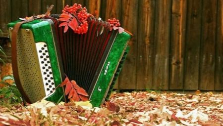 How is the accordion different from the button accordion and accordion?