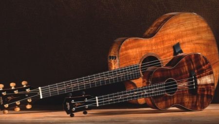 En quoi une guitare est-elle différente d'un ukulélé ?
