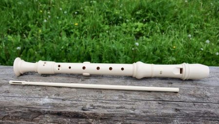 What is a recorder and how to choose one?