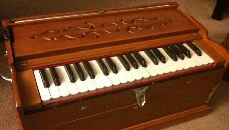 Harmonium: characteristics and types