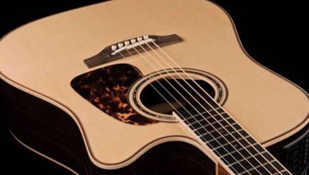 Guitares Takamine