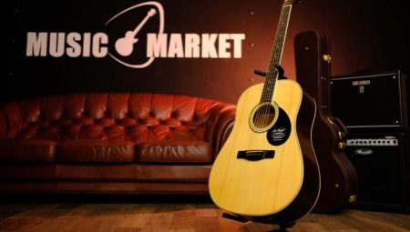 Guitares Greg Bennett