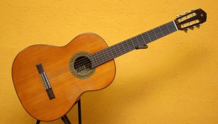 Caractéristiques et types de deck de guitare
