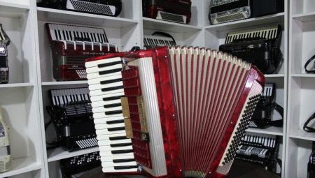 What is an accordion and how to choose one?