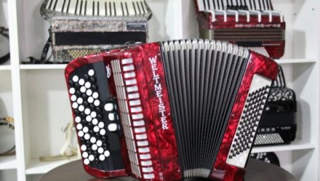 What are accordions and how to tune them?